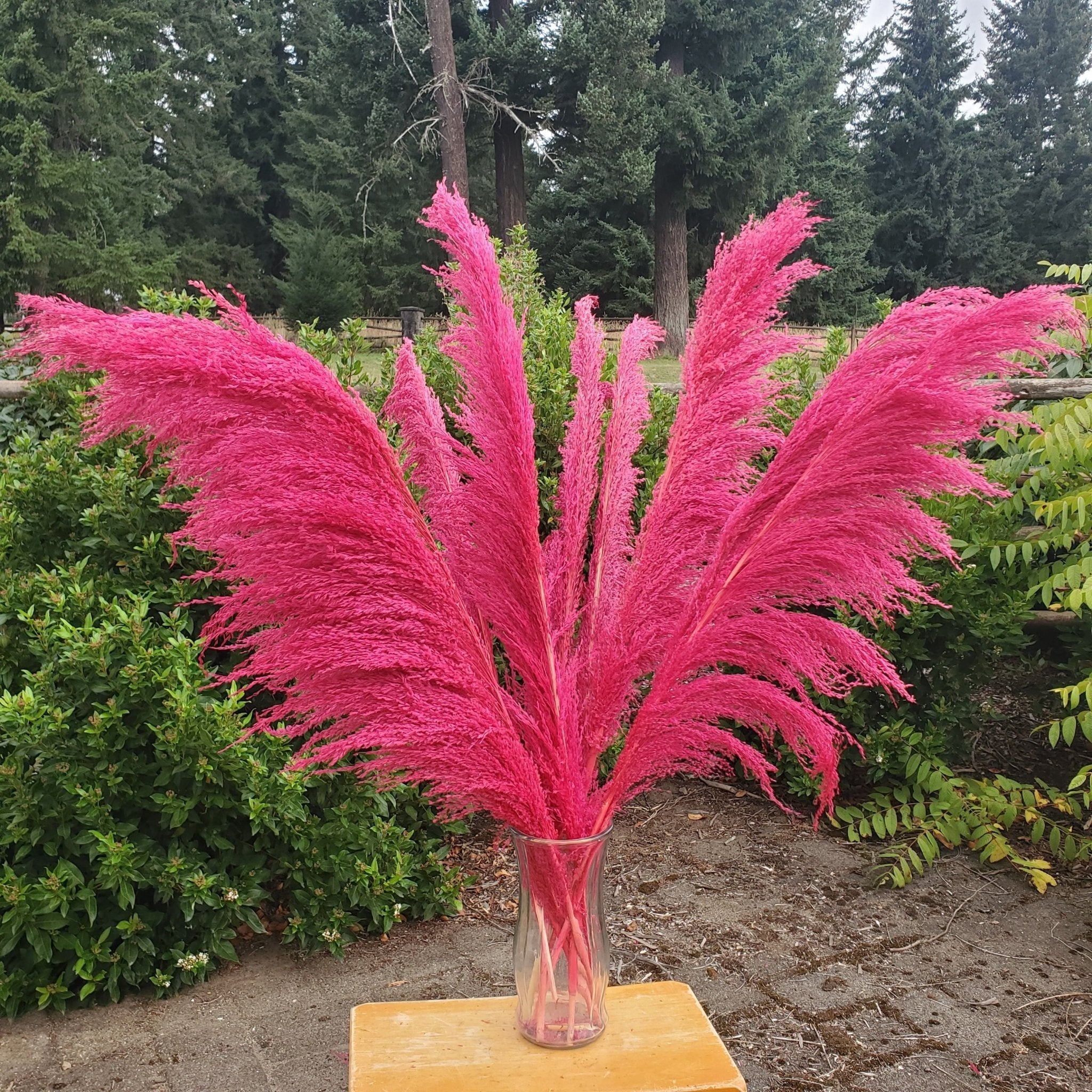 No - Shed Silky Large Pampas (3 - 4ft) - Hot Pink Magenta (714) - BLOOMINGFUL.COM - wedding, event, decor, gift, bouquet, arrangement, bridal, garland, fresh dried preserved artificial silk, birthday housewarming foliage
