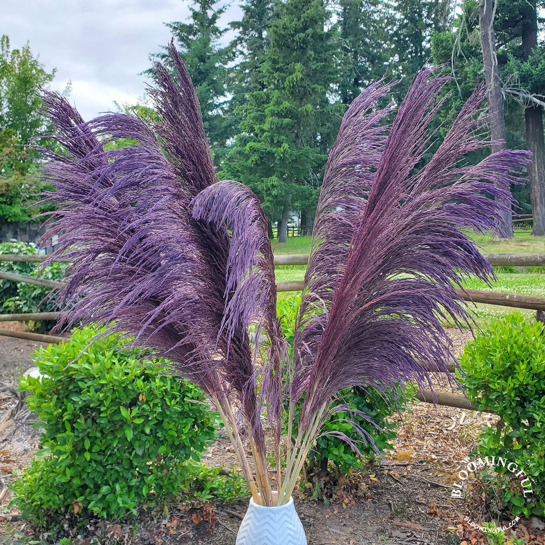 No - Shed Silky Large Pampas (3 - 4ft) - Moody Purple - BLOOMINGFUL.COM - wedding, event, decor, gift, bouquet, arrangement, bridal, garland, fresh dried preserved artificial silk, birthday housewarming foliage