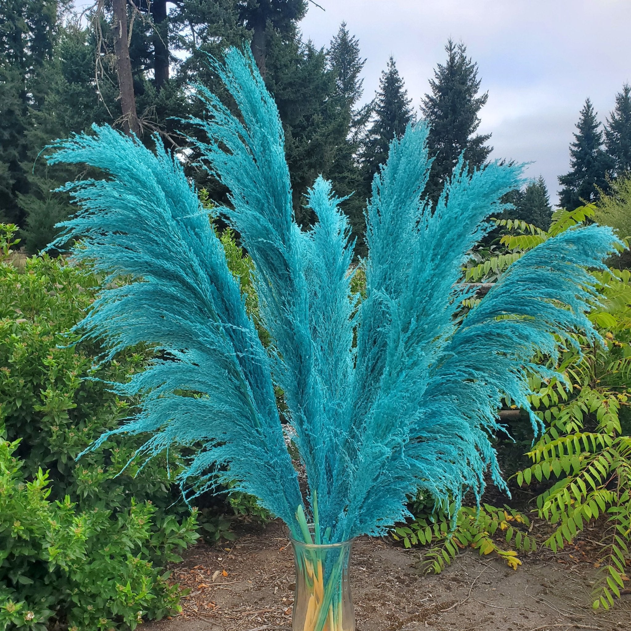 No Shed Silky Large Pampas (3 - 4ft) - Peacock Blue (716) - BLOOMINGFUL.COM - wedding, event, decor, gift, bouquet, arrangement, bridal, garland, fresh dried preserved artificial silk, birthday housewarming foliage