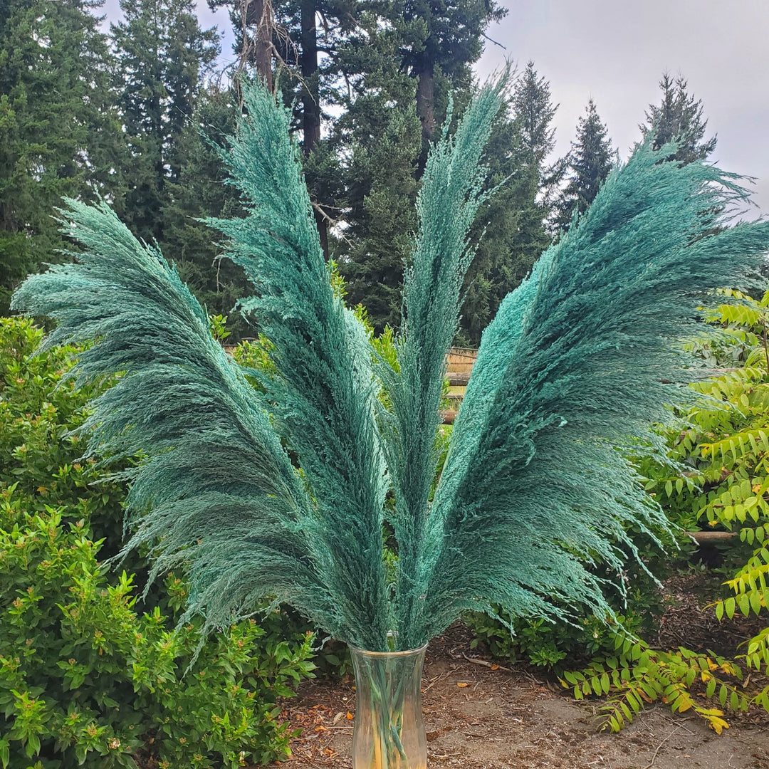 No - Shed Silky Large Pampas (3 - 4ft) - Teal Emerald (705) - BLOOMINGFUL.COM - wedding, event, decor, gift, bouquet, arrangement, bridal, garland, fresh dried preserved artificial silk, birthday housewarming foliage