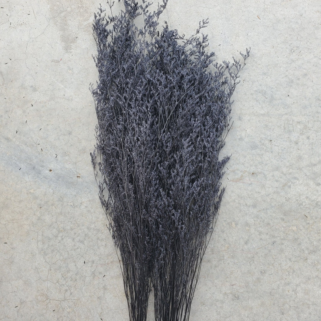 Preserved Caspia Limonium - Black (026) - BLOOMINGFUL.COM - wedding, event, decor, gift, bouquet, arrangement, bridal, garland, fresh dried preserved artificial silk, birthday housewarming foliage