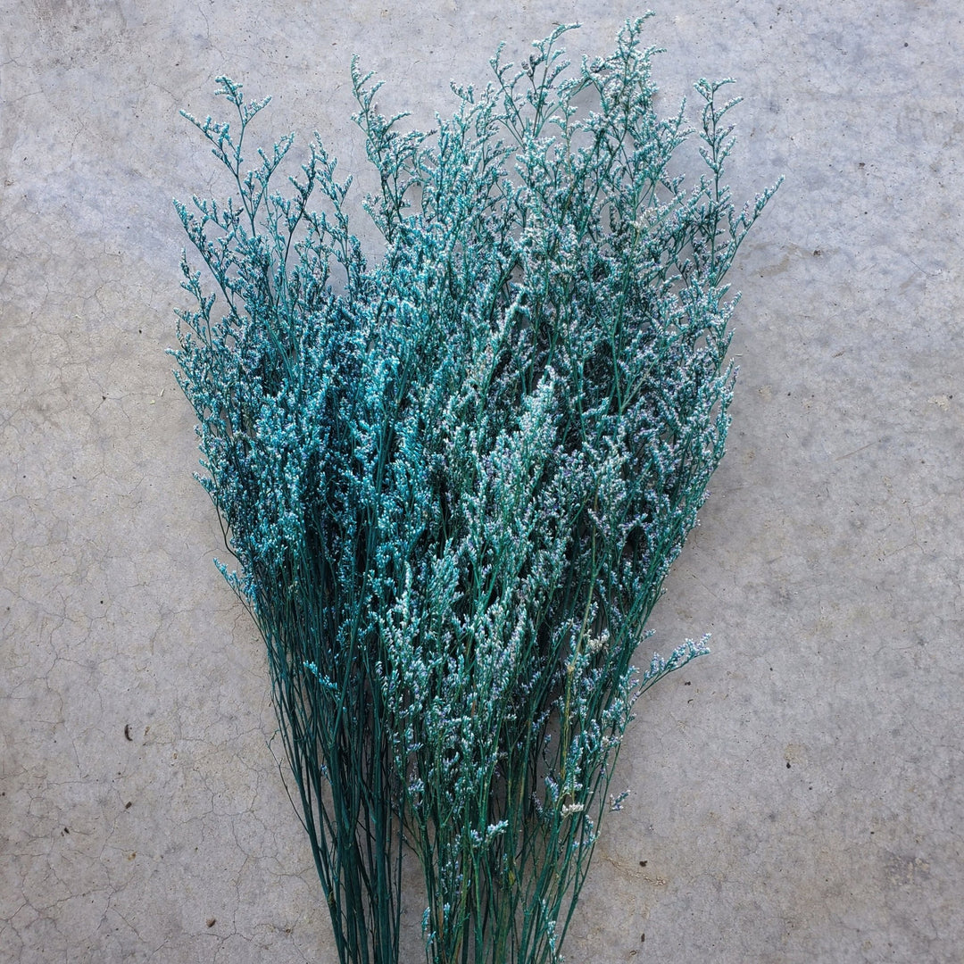Preserved Caspia Limonium - Blue (002) - BLOOMINGFUL.COM - wedding, event, decor, gift, bouquet, arrangement, bridal, garland, fresh dried preserved artificial silk, birthday housewarming foliage