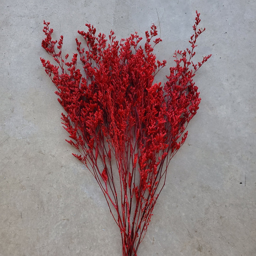 Preserved Caspia Limonium - Burgundy Red (025 / 021) - BLOOMINGFUL.COM - wedding, event, decor, gift, bouquet, arrangement, bridal, garland, fresh dried preserved artificial silk, birthday housewarming foliage