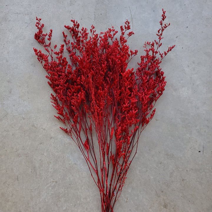 Preserved Caspia Limonium - Burgundy Red (025 / 021) - BLOOMINGFUL.COM - wedding, event, decor, gift, bouquet, arrangement, bridal, garland, fresh dried preserved artificial silk, birthday housewarming foliage