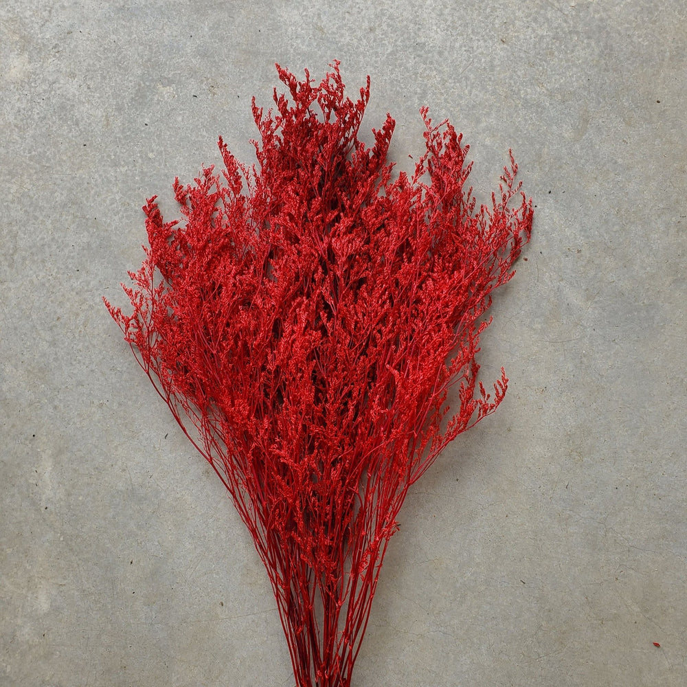 Preserved Caspia Limonium - Burgundy Red (025) - BLOOMINGFUL.COM - wedding, event, decor, gift, bouquet, arrangement, bridal, garland, fresh dried preserved artificial silk, birthday housewarming foliage