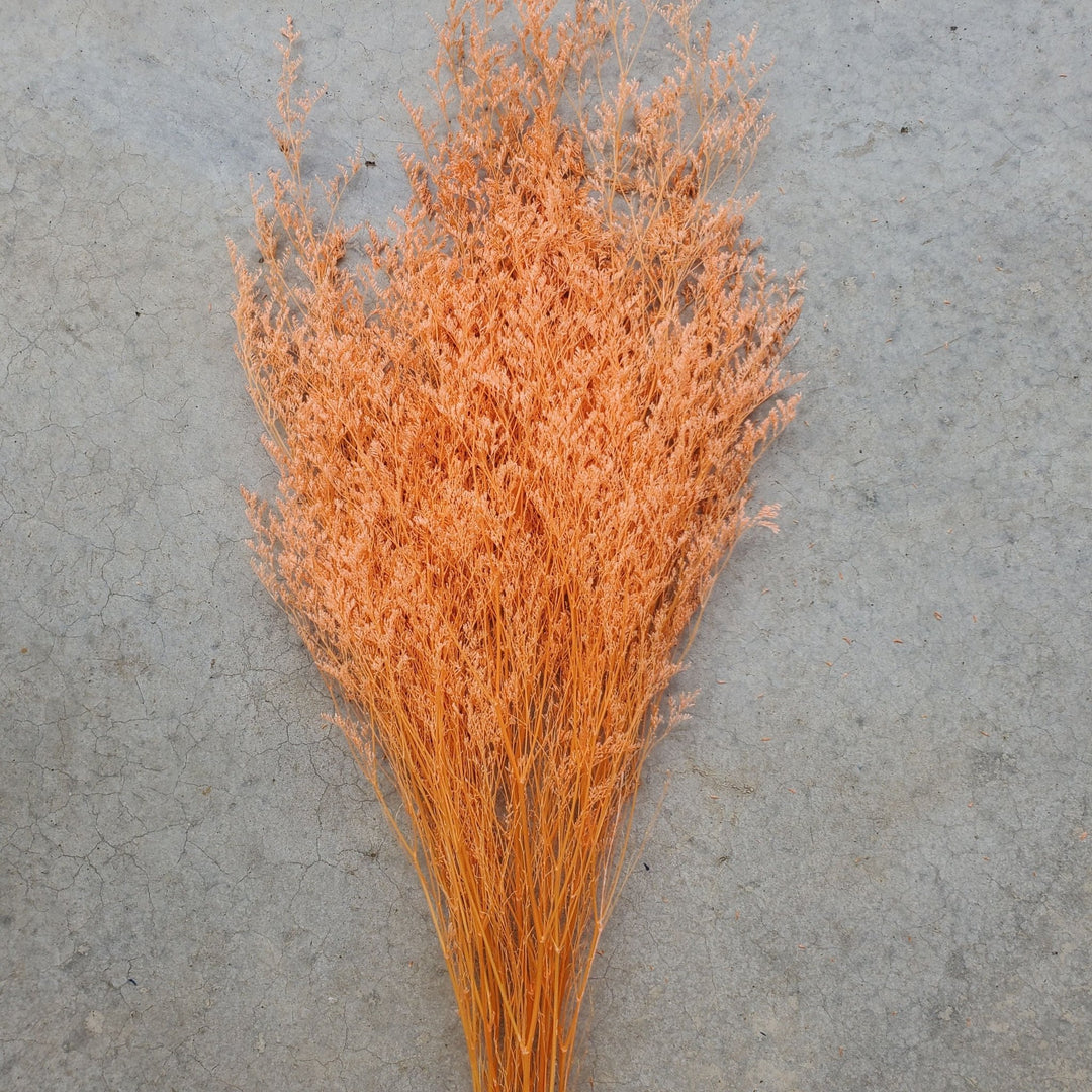 Preserved Caspia Limonium - Coral Orange (024) - BLOOMINGFUL.COM - wedding, event, decor, gift, bouquet, arrangement, bridal, garland, fresh dried preserved artificial silk, birthday housewarming foliage