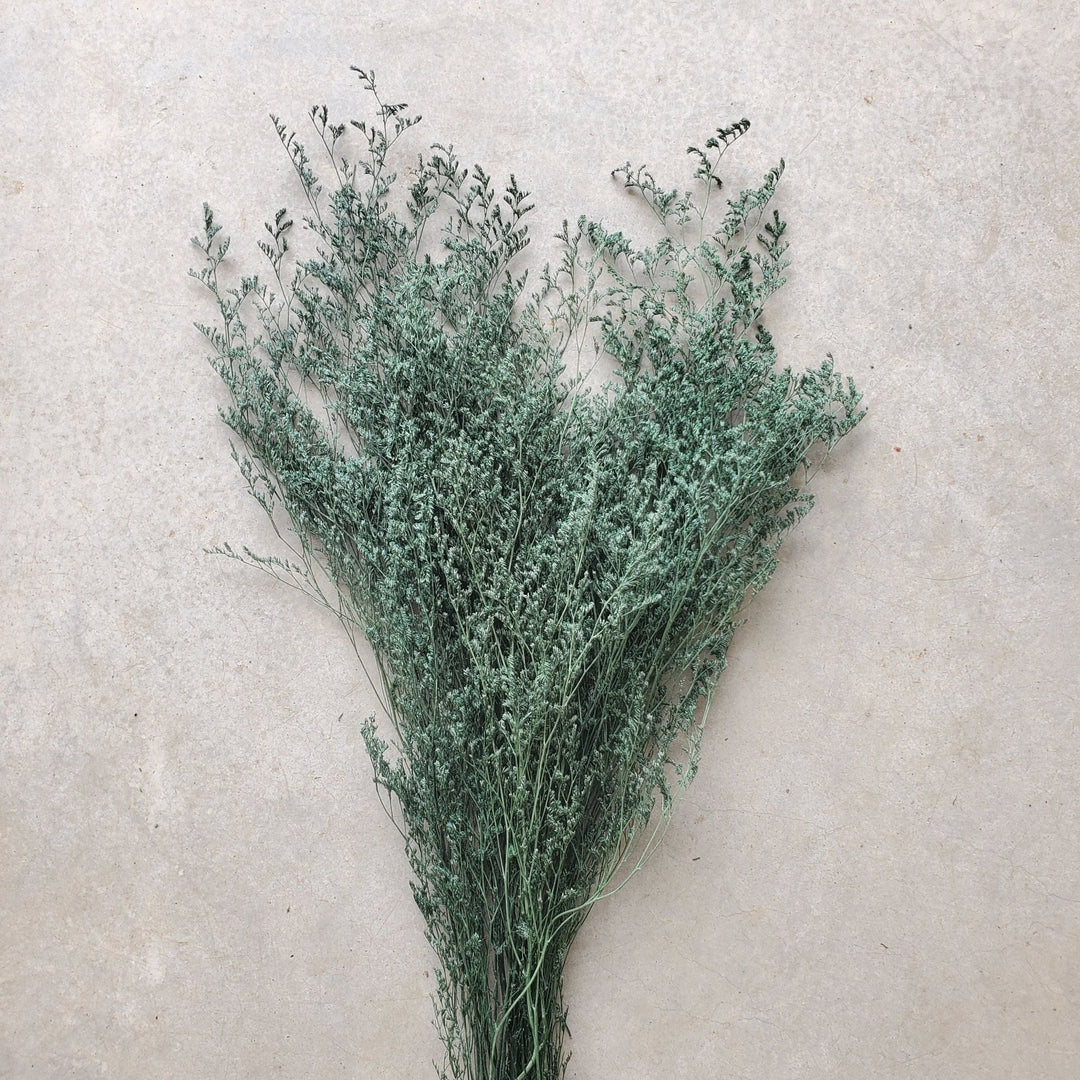 Preserved Caspia Limonium - Dark Green (044) - BLOOMINGFUL.COM - wedding, event, decor, gift, bouquet, arrangement, bridal, garland, fresh dried preserved artificial silk, birthday housewarming foliage
