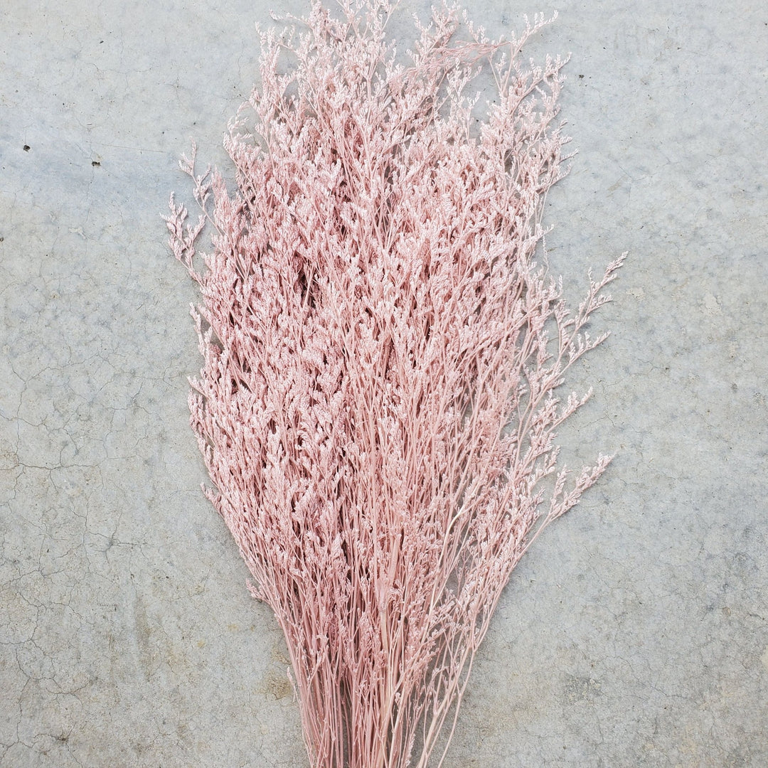 Preserved Caspia Limonium - Dusty Pink (029) - BLOOMINGFUL.COM - wedding, event, decor, gift, bouquet, arrangement, bridal, garland, fresh dried preserved artificial silk, birthday housewarming foliage