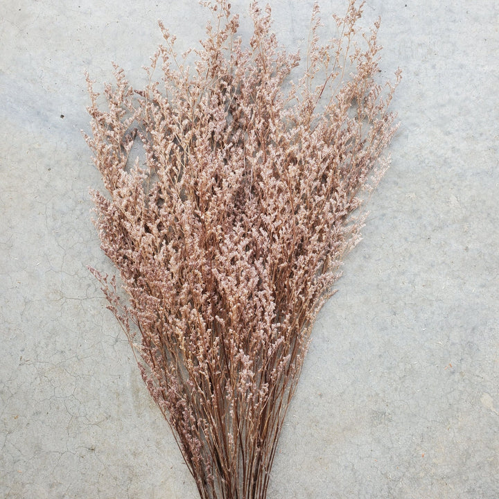 Preserved Caspia Limonium - Dusty Rose Pink Mauve (039) - BLOOMINGFUL.COM - wedding, event, decor, gift, bouquet, arrangement, bridal, garland, fresh dried preserved artificial silk, birthday housewarming foliage