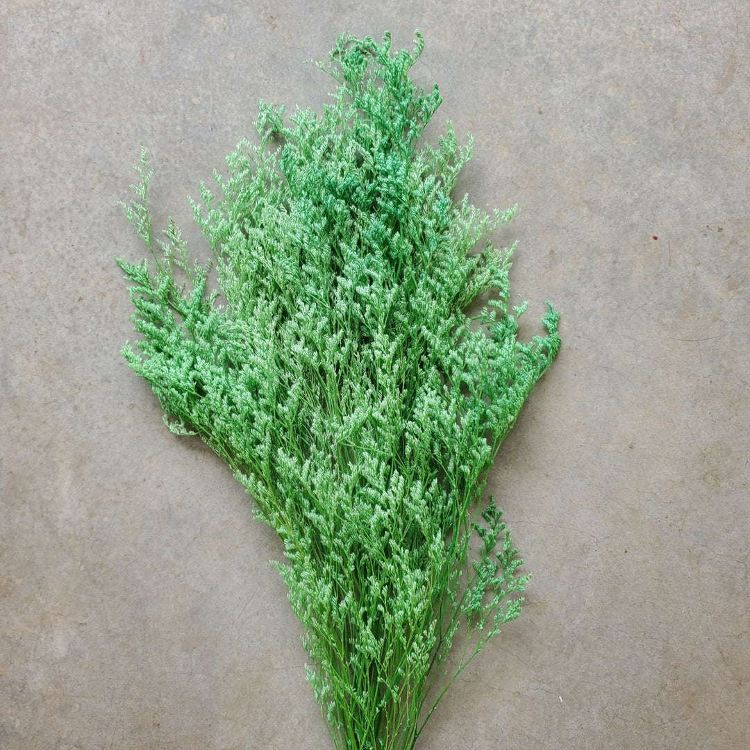 Preserved Caspia Limonium - Green (043) - BLOOMINGFUL.COM - wedding, event, decor, gift, bouquet, arrangement, bridal, garland, fresh dried preserved artificial silk, birthday housewarming foliage