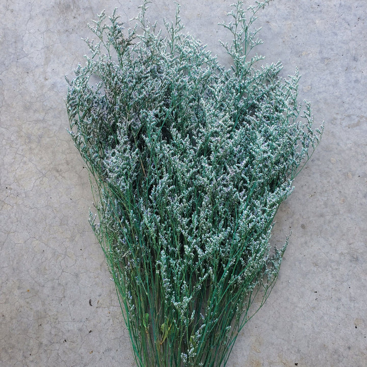 Preserved Caspia Limonium - Hunter Green - Blue (011) - BLOOMINGFUL.COM - wedding, event, decor, gift, bouquet, arrangement, bridal, garland, fresh dried preserved artificial silk, birthday housewarming foliage