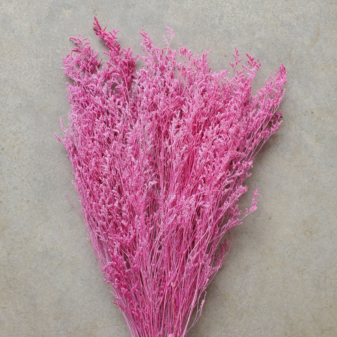 Preserved Caspia Limonium - Magenta Pink (022M) - BLOOMINGFUL.COM - wedding, event, decor, gift, bouquet, arrangement, bridal, garland, fresh dried preserved artificial silk, birthday housewarming foliage