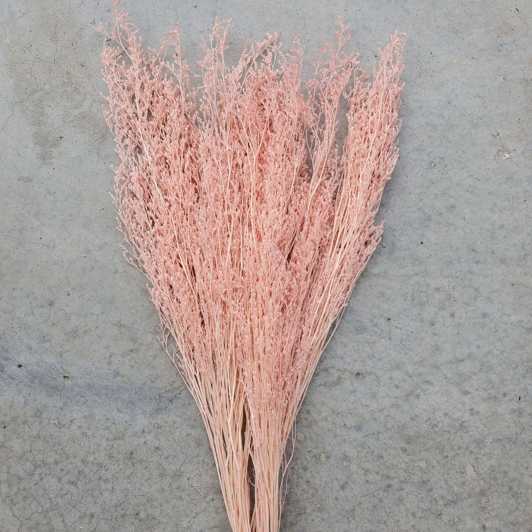 Preserved Caspia Limonium - Peach Champagne (041) - BLOOMINGFUL.COM - wedding, event, decor, gift, bouquet, arrangement, bridal, garland, fresh dried preserved artificial silk, birthday housewarming foliage