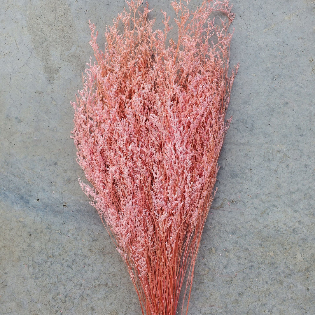 Preserved Caspia Limonium - Pink (022) - BLOOMINGFUL.COM - wedding, event, decor, gift, bouquet, arrangement, bridal, garland, fresh dried preserved artificial silk, birthday housewarming foliage