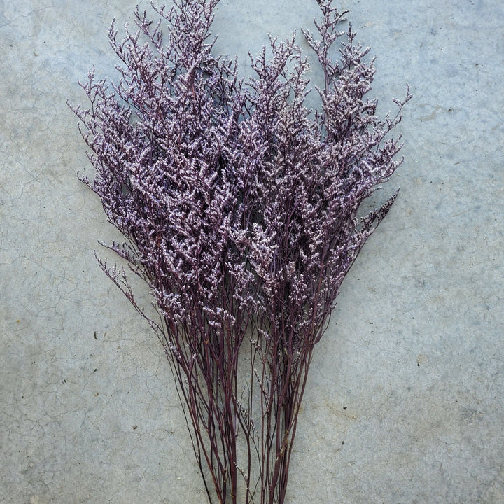 Preserved Caspia Limonium - Purple (008) - BLOOMINGFUL.COM - wedding, event, decor, gift, bouquet, arrangement, bridal, garland, fresh dried preserved artificial silk, birthday housewarming foliage