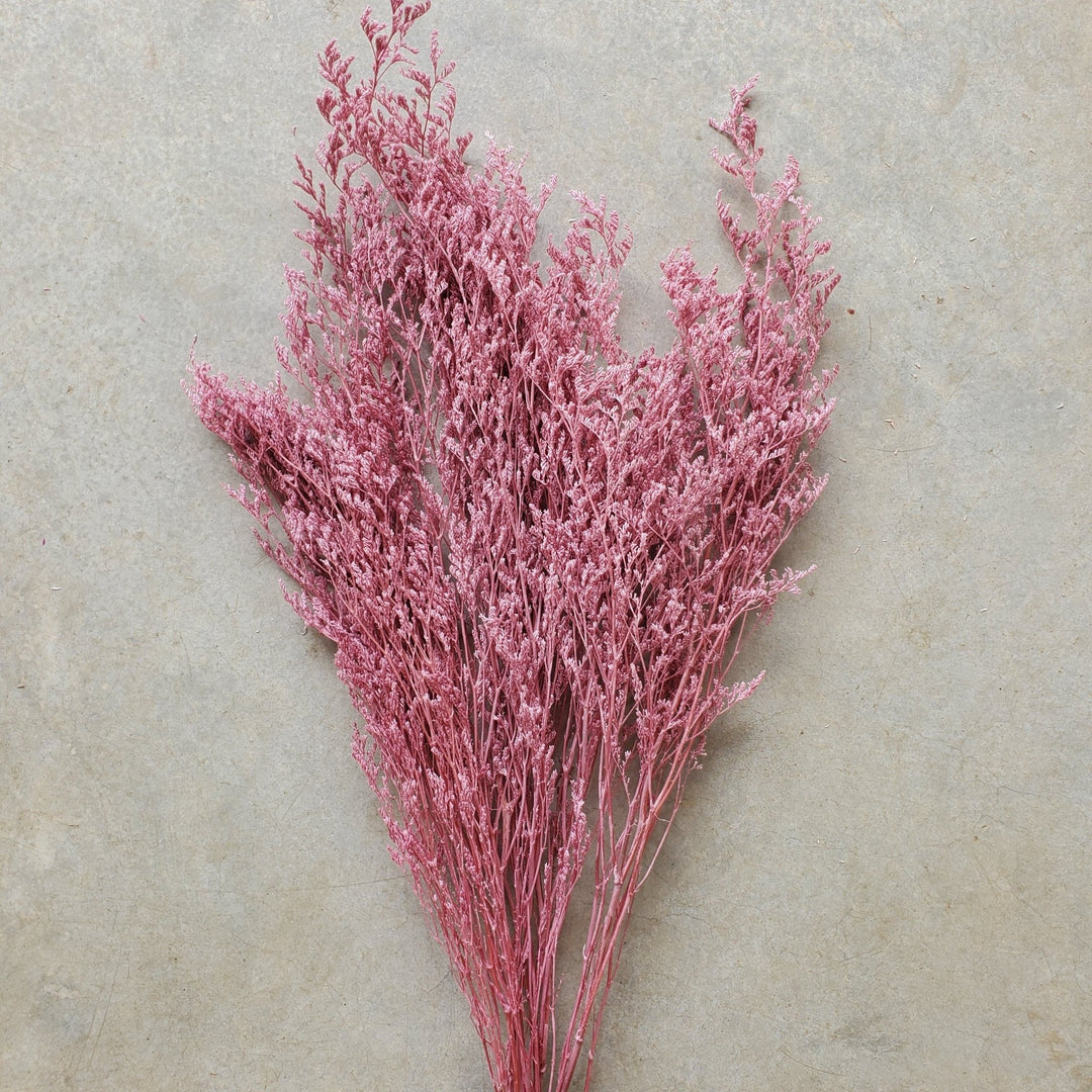 Preserved Caspia Limonium - Rose Pink (029D) - BLOOMINGFUL.COM - wedding, event, decor, gift, bouquet, arrangement, bridal, garland, fresh dried preserved artificial silk, birthday housewarming foliage