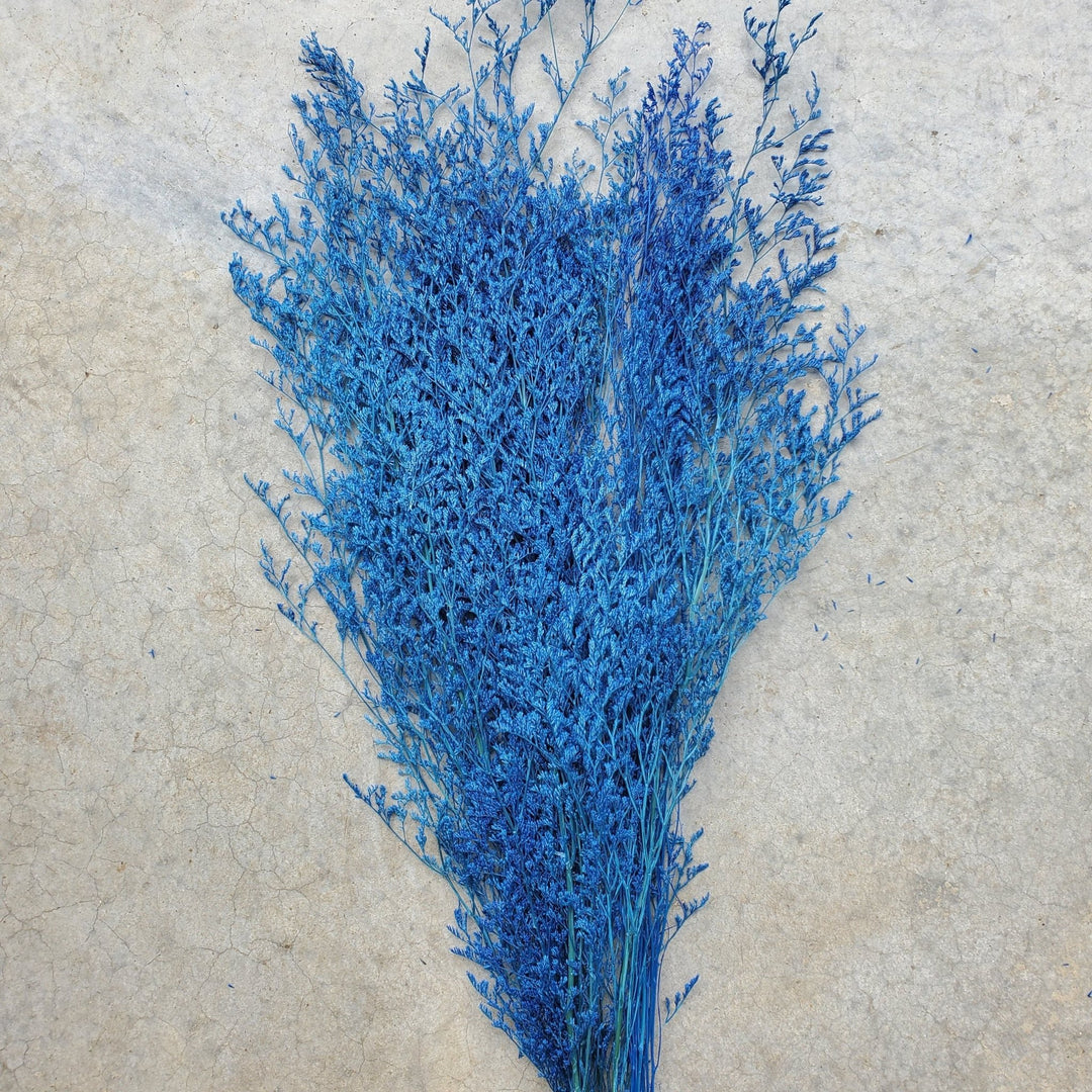 Preserved Caspia Limonium - Sapphire Blue (038) - BLOOMINGFUL.COM - wedding, event, decor, gift, bouquet, arrangement, bridal, garland, fresh dried preserved artificial silk, birthday housewarming foliage