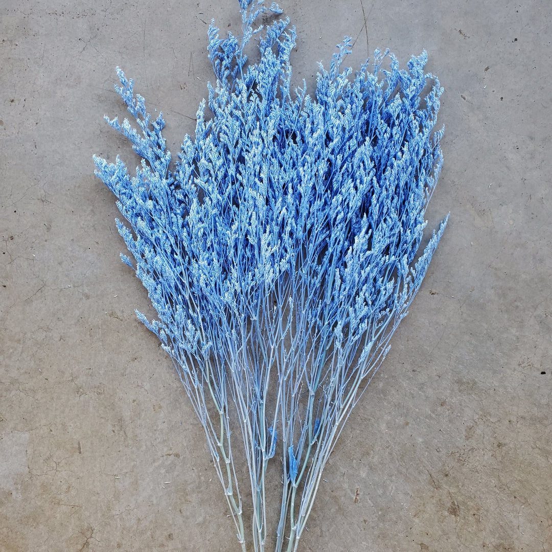 Preserved Caspia Limonium - Soft Blue (031) - BLOOMINGFUL.COM - wedding, event, decor, gift, bouquet, arrangement, bridal, garland, fresh dried preserved artificial silk, birthday housewarming foliage