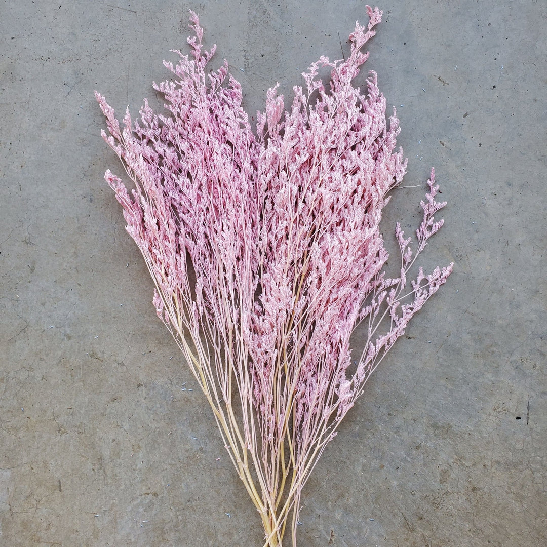 Preserved Caspia Limonium - Soft Pink (021 / 016) - BLOOMINGFUL.COM - wedding, event, decor, gift, bouquet, arrangement, bridal, garland, fresh dried preserved artificial silk, birthday housewarming foliage