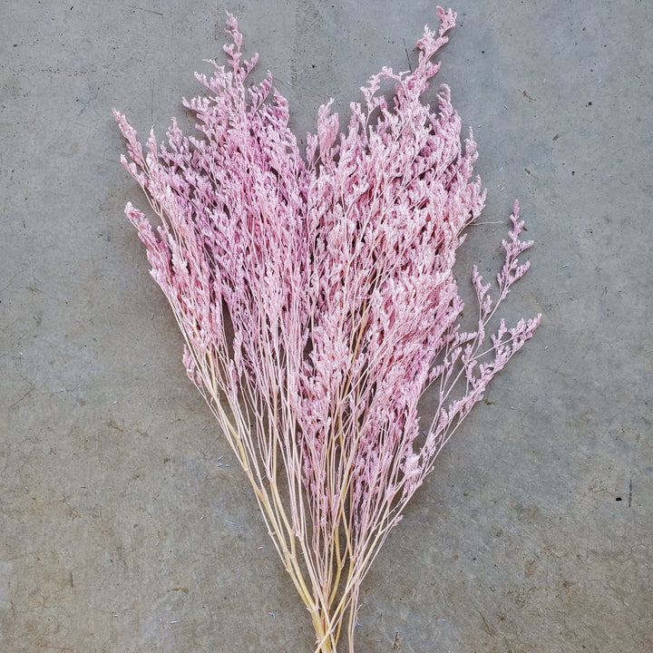 Preserved Caspia Limonium - Soft Pink (021 / 016) - BLOOMINGFUL.COM - wedding, event, decor, gift, bouquet, arrangement, bridal, garland, fresh dried preserved artificial silk, birthday housewarming foliage