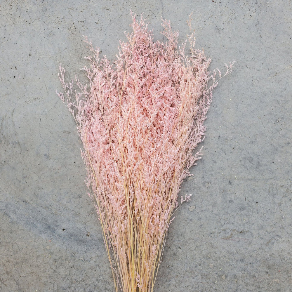 Preserved Caspia Limonium - Soft Pink (021 / 016) - BLOOMINGFUL.COM - wedding, event, decor, gift, bouquet, arrangement, bridal, garland, fresh dried preserved artificial silk, birthday housewarming foliage