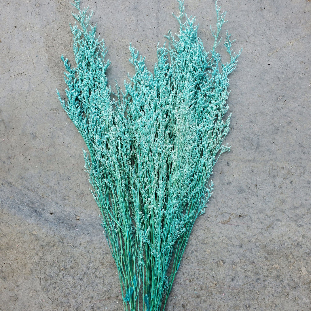 Preserved Caspia Limonium - Tiffany Blue (040) - BLOOMINGFUL.COM - wedding, event, decor, gift, bouquet, arrangement, bridal, garland, fresh dried preserved artificial silk, birthday housewarming foliage