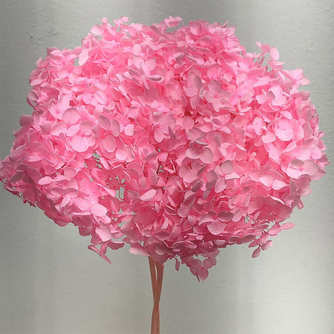 Preserved Hydrangea - Medium Pink (S03) - BLOOMINGFUL.COM - wedding, event, decor, gift, bouquet, arrangement, bridal, garland, fresh dried preserved artificial silk, birthday housewarming foliage