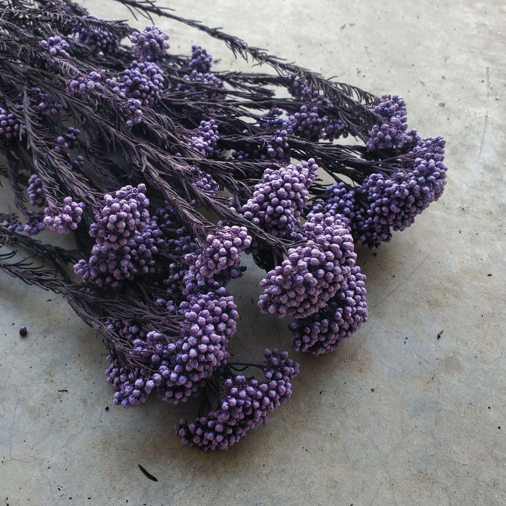 Preserved Rice Flower - Purple Royale (117) - BLOOMINGFUL.COM - wedding, event, decor, gift, bouquet, arrangement, bridal, garland, fresh dried preserved artificial silk, birthday housewarming foliage