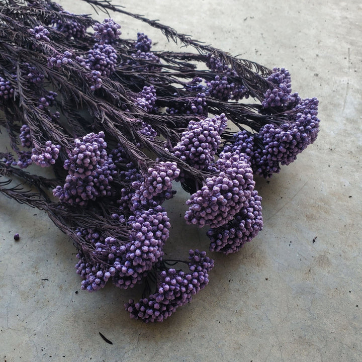 Preserved Rice Flower - Purple Royale (117) - BLOOMINGFUL.COM - wedding, event, decor, gift, bouquet, arrangement, bridal, garland, fresh dried preserved artificial silk, birthday housewarming foliage