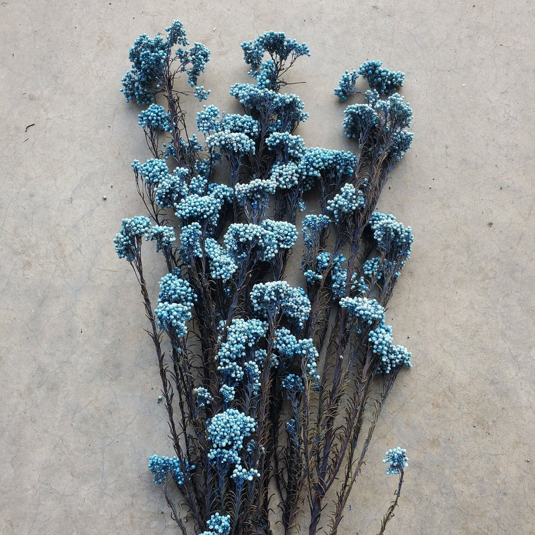 Preserved Rice Flower - Rustic Blue (118) - BLOOMINGFUL.COM - wedding, event, decor, gift, bouquet, arrangement, bridal, garland, fresh dried preserved artificial silk, birthday housewarming foliage