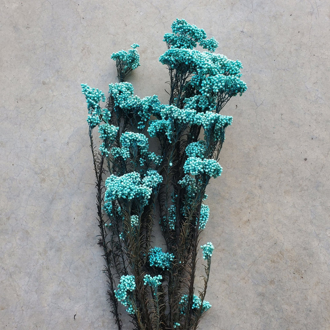 Preserved Rice Flower - Turquoise Blue (129) - BLOOMINGFUL.COM - wedding, event, decor, gift, bouquet, arrangement, bridal, garland, fresh dried preserved artificial silk, birthday housewarming foliage