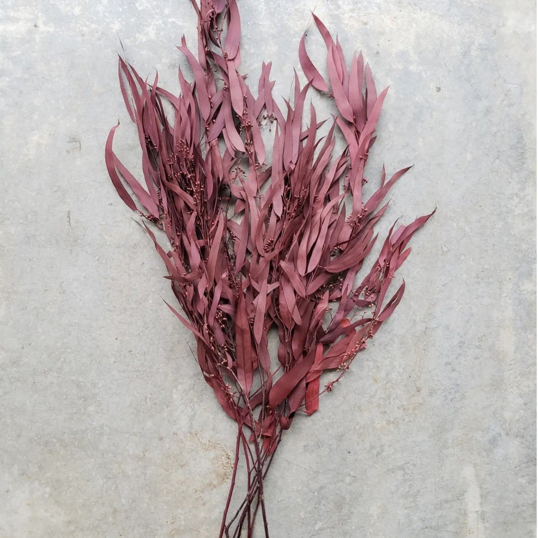 Preserved Seeded Weeping Willow Eucalyptus Bunches - Burgundy Red - BLOOMINGFUL.COM - wedding, event, decor, gift, bouquet, arrangement, bridal, garland, fresh dried preserved artificial silk, birthday housewarming foliage