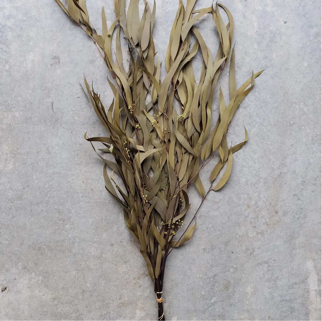 Preserved Seeded Weeping Willow Eucalyptus Bunches - Olive - BLOOMINGFUL.COM - wedding, event, decor, gift, bouquet, arrangement, bridal, garland, fresh dried preserved artificial silk, birthday housewarming foliage