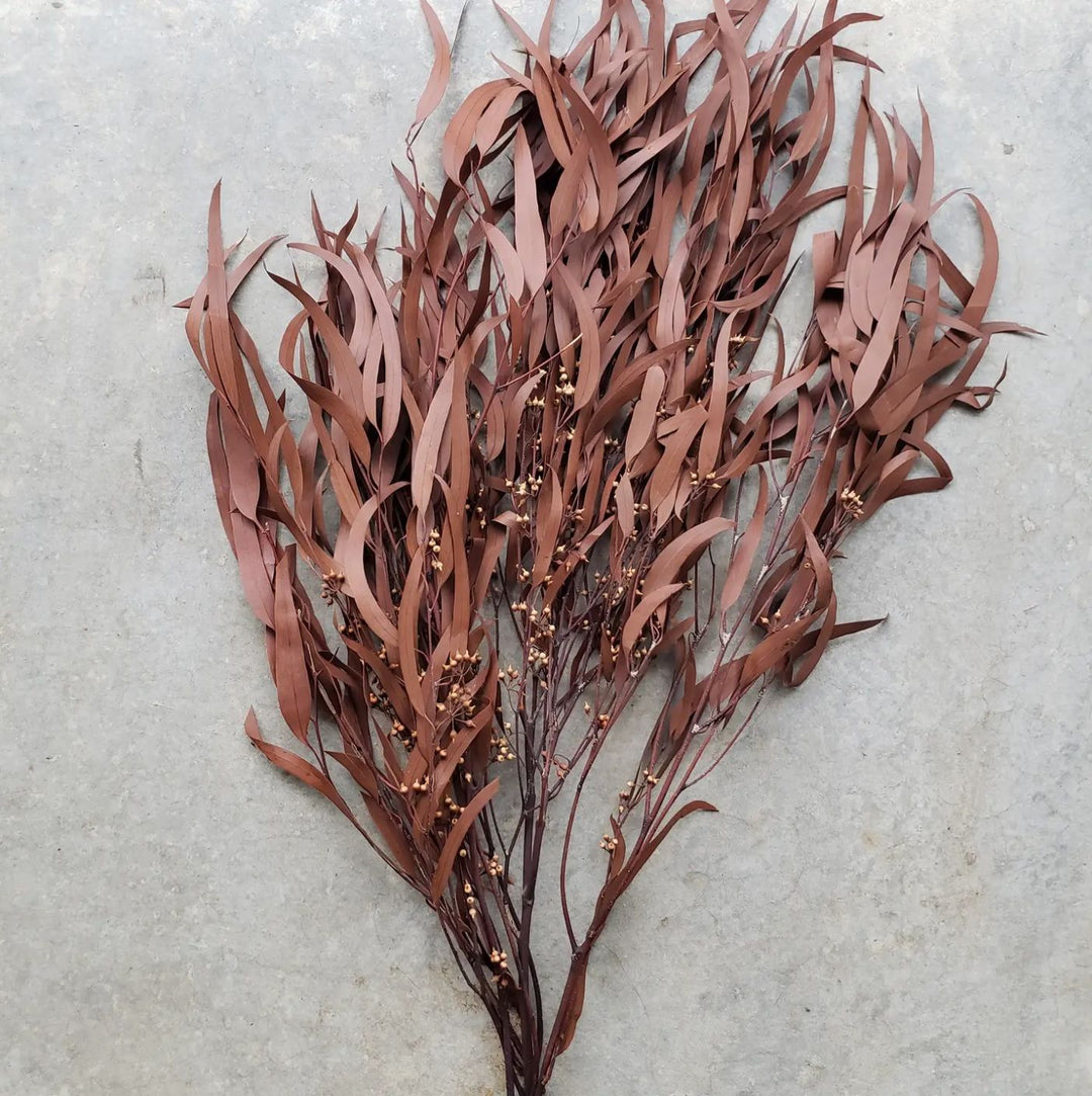 Preserved Seeded Weeping Willow Eucalyptus Bunches - Terracotta Orange - BLOOMINGFUL.COM - wedding, event, decor, gift, bouquet, arrangement, bridal, garland, fresh dried preserved artificial silk, birthday housewarming foliage