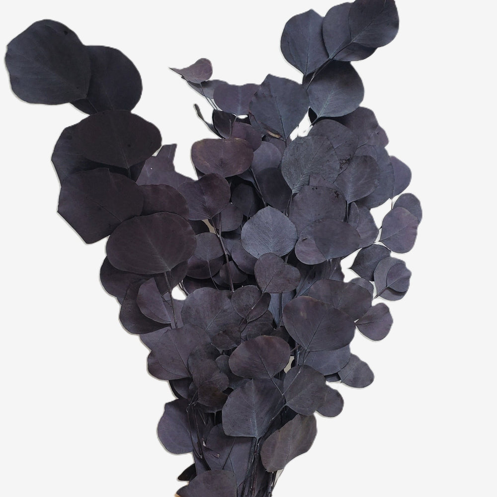 Preserved Silver Dollar Eucalyptus - Moody Purple - BLOOMINGFUL.COM - wedding, event, decor, gift, bouquet, arrangement, bridal, garland, fresh dried preserved artificial silk, birthday housewarming foliage