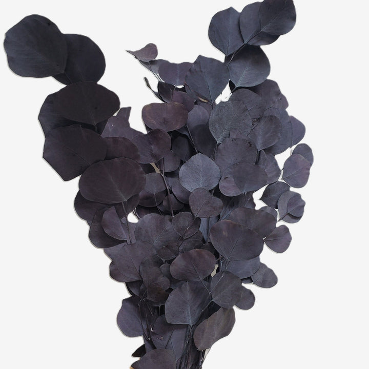 Preserved Silver Dollar Eucalyptus - Moody Purple - BLOOMINGFUL.COM - wedding, event, decor, gift, bouquet, arrangement, bridal, garland, fresh dried preserved artificial silk, birthday housewarming foliage