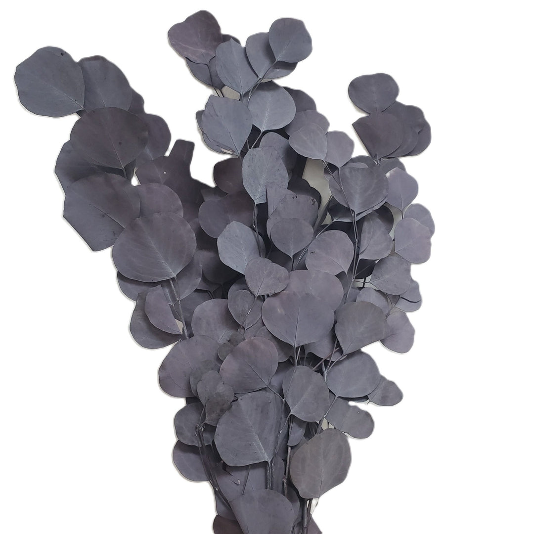 Preserved Silver Dollar Eucalyptus - Moody Purple - BLOOMINGFUL.COM - wedding, event, decor, gift, bouquet, arrangement, bridal, garland, fresh dried preserved artificial silk, birthday housewarming foliage