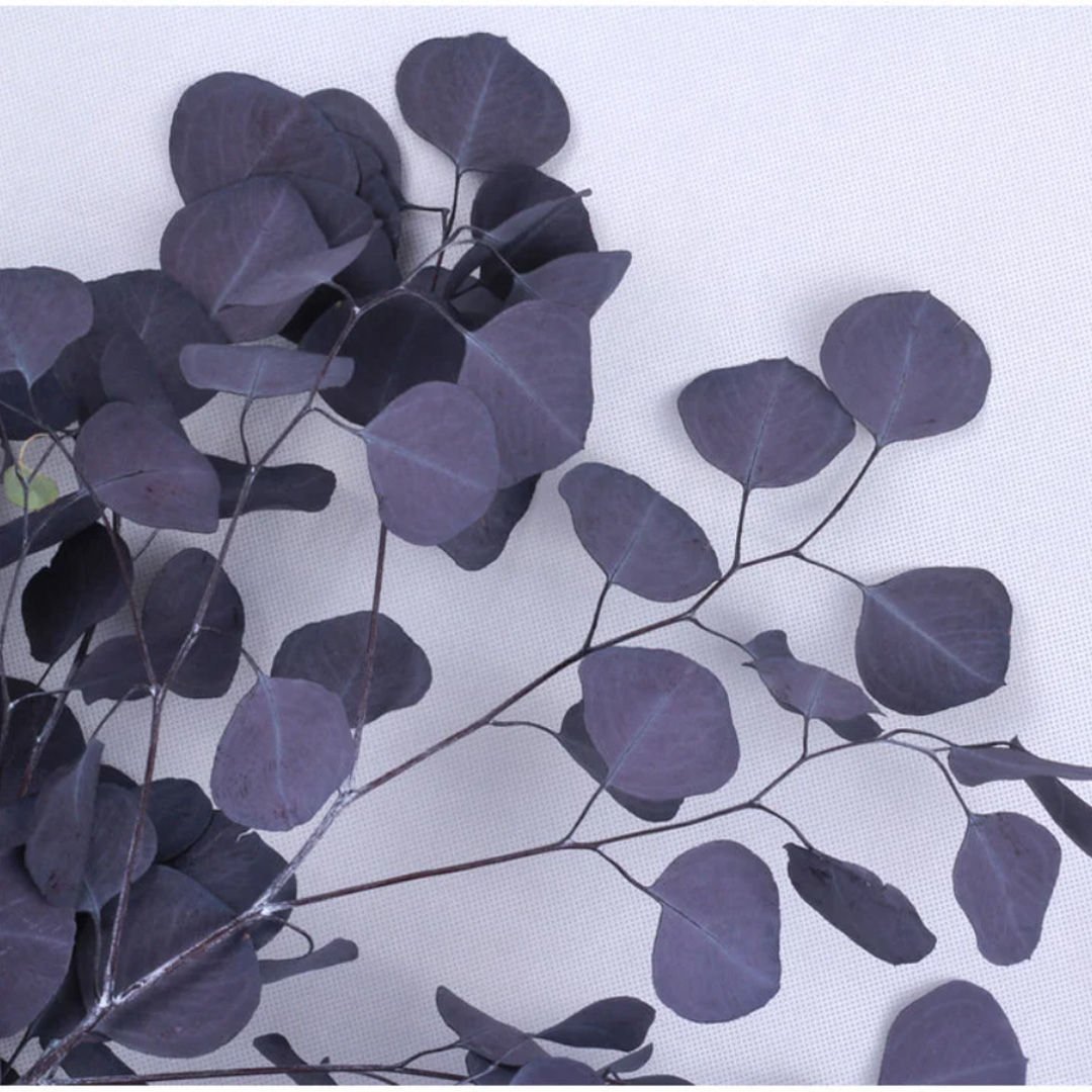 Preserved Silver Dollar Eucalyptus - Moody Purple - BLOOMINGFUL.COM - wedding, event, decor, gift, bouquet, arrangement, bridal, garland, fresh dried preserved artificial silk, birthday housewarming foliage