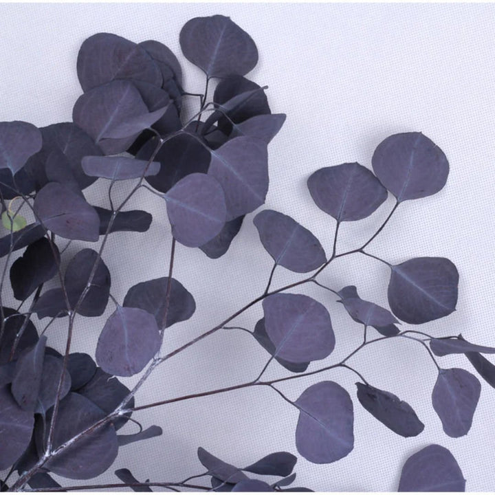 Preserved Silver Dollar Eucalyptus - Moody Purple - BLOOMINGFUL.COM - wedding, event, decor, gift, bouquet, arrangement, bridal, garland, fresh dried preserved artificial silk, birthday housewarming foliage