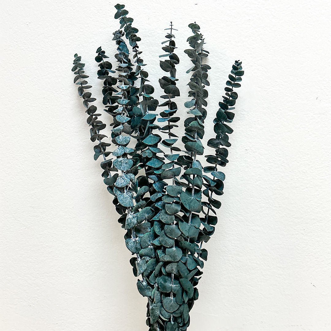 Preserved Spiral Eucalyptus - Frosty Blue (10 stems) - BLOOMINGFUL.COM - wedding, event, decor, gift, bouquet, arrangement, bridal, garland, fresh dried preserved artificial silk, birthday housewarming foliage