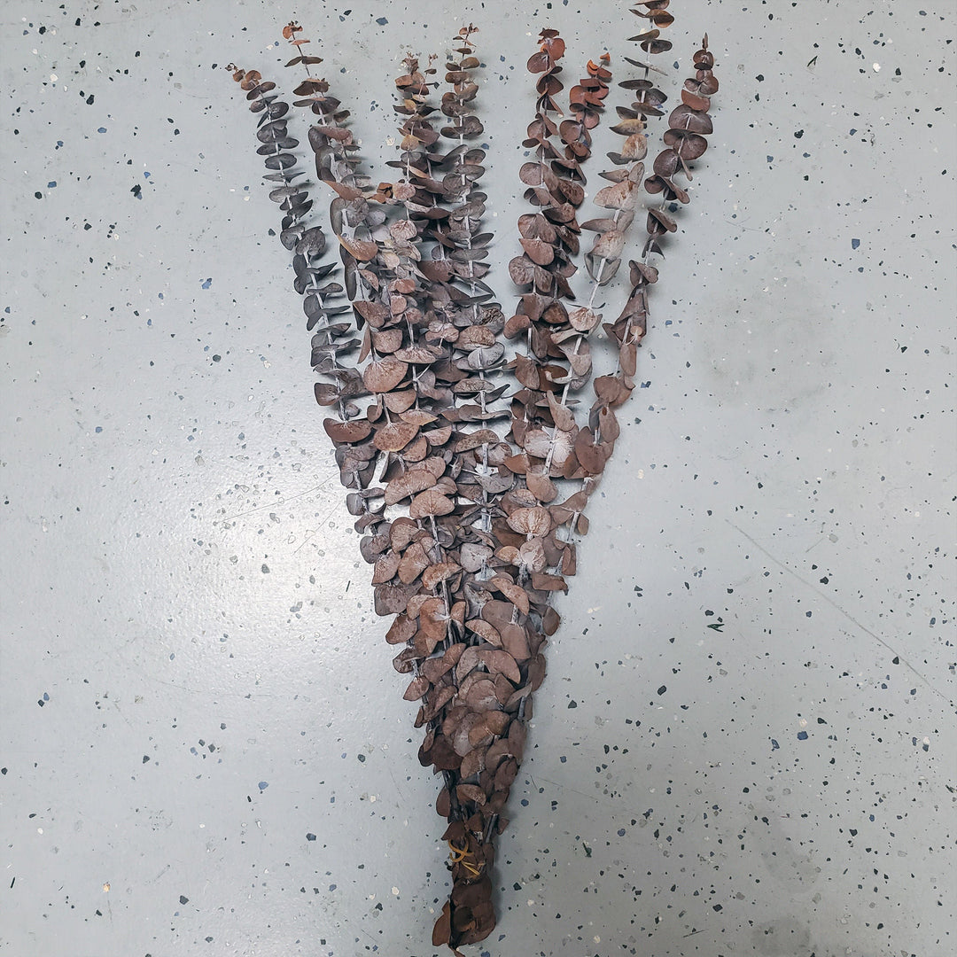 Preserved Spiral Eucalyptus - Terracotta Orange (10 stems) - BLOOMINGFUL.COM - wedding, event, decor, gift, bouquet, arrangement, bridal, garland, fresh dried preserved artificial silk, birthday housewarming foliage