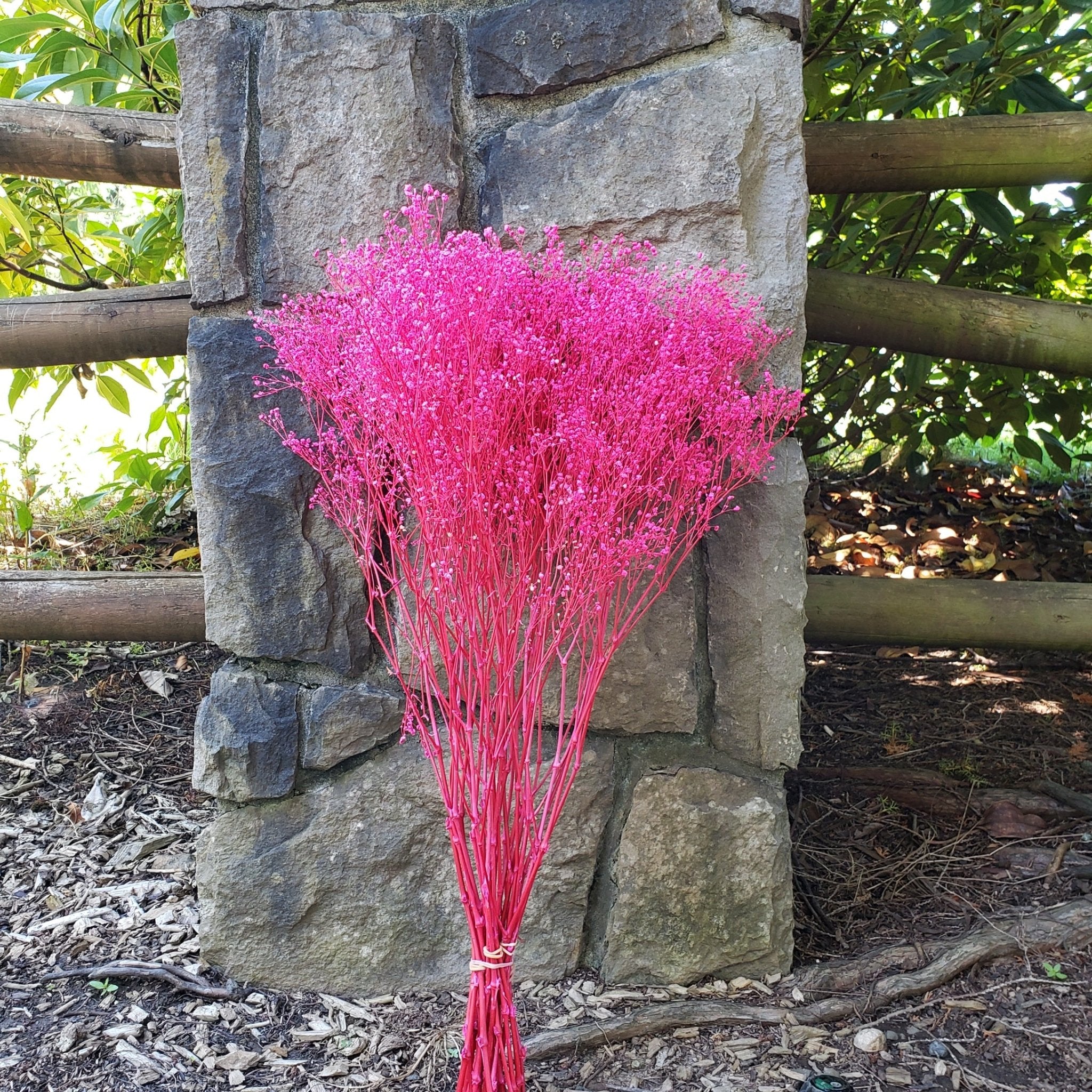 Pink Babys Breath Flower Hair Wreath, Preserved Real Gypsophila