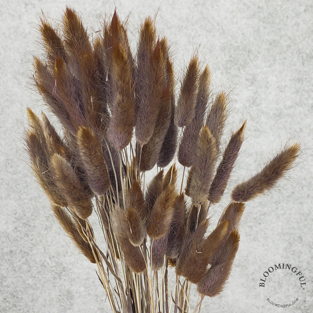 Bunny Tails - Chocolate Brown (131)