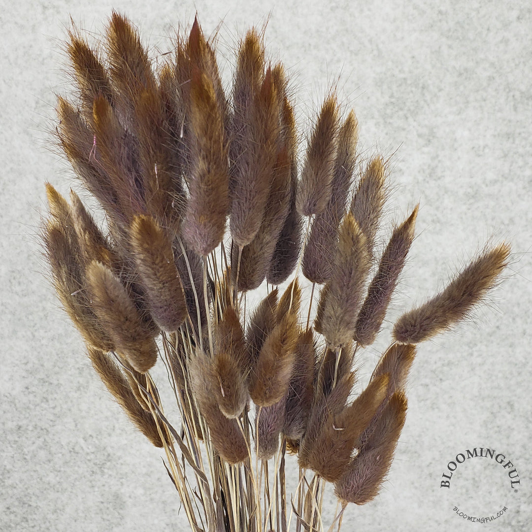 Bunny Tails - Chocolate Brown (131)