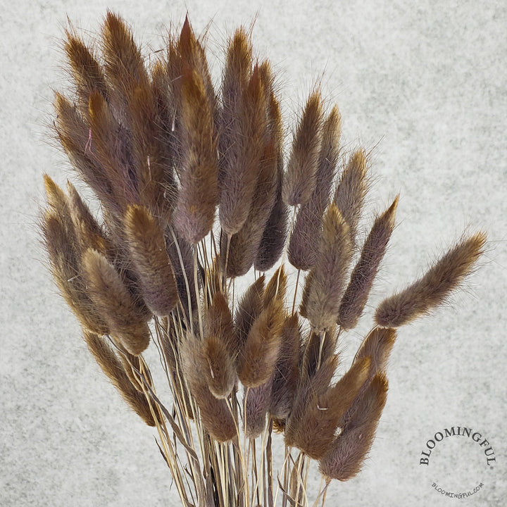 Bunny Tails - Chocolate Brown (131)