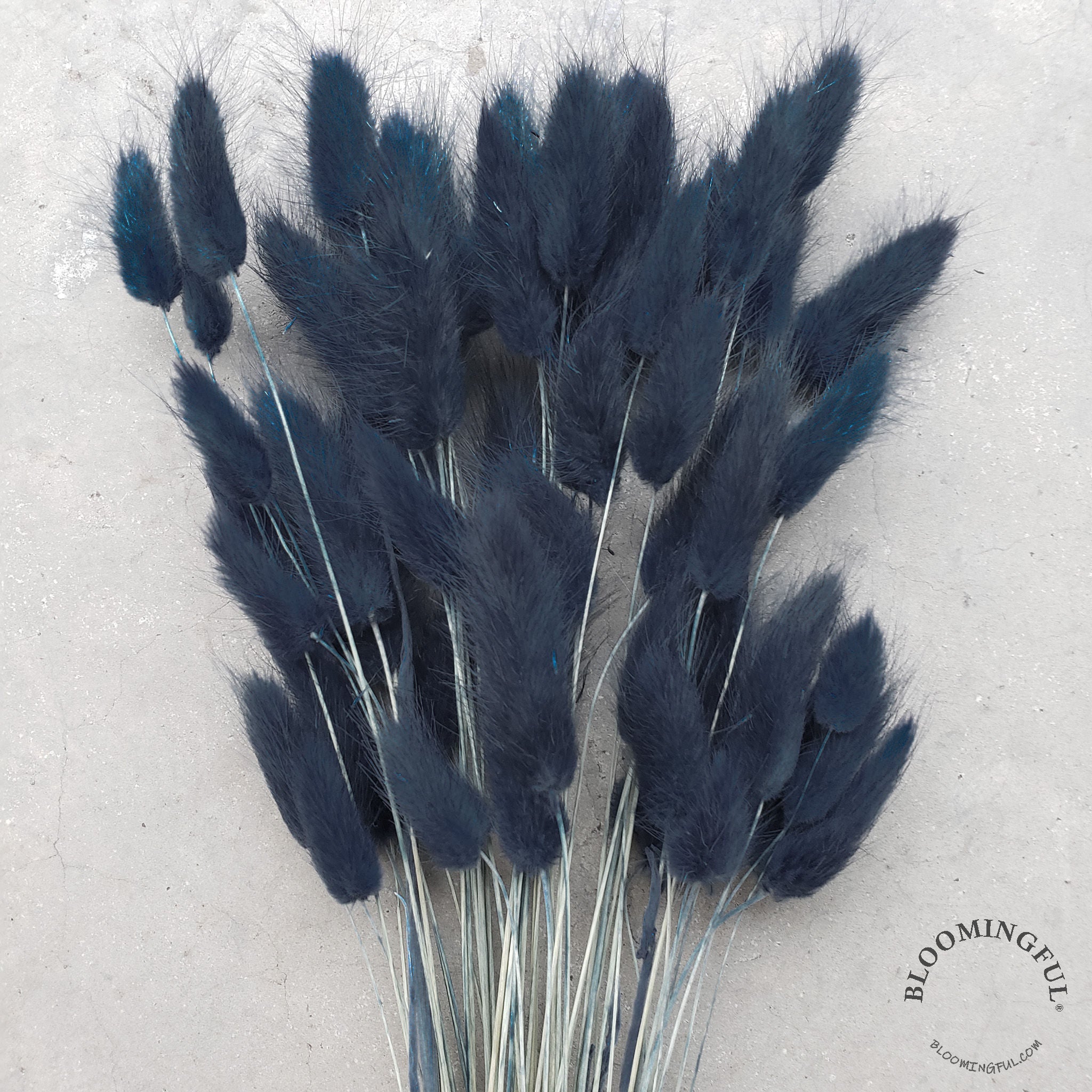 Dried Bunny Tails - Dusty Navy Blue (028) - BLOOMINGFUL - wedding, event, decor, gift, bouquet, arrangement, bridal, garland, fresh dried preserved artificial silk, birthday housewarming foliage