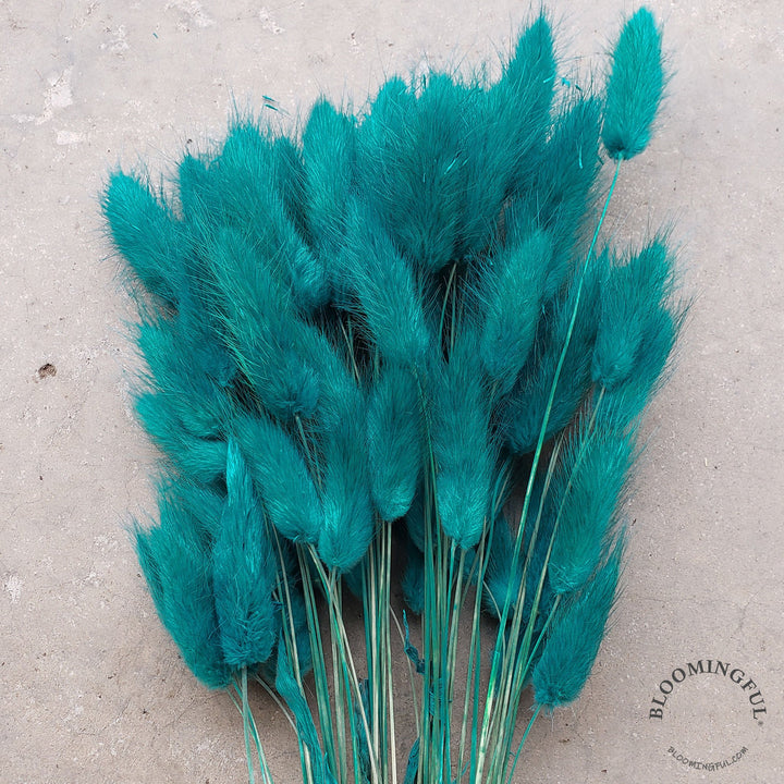Dried Bunny Tails - Peacock Blue (038) - BLOOMINGFUL - wedding, event, decor, gift, bouquet, arrangement, bridal, garland, fresh dried preserved artificial silk, birthday housewarming foliage