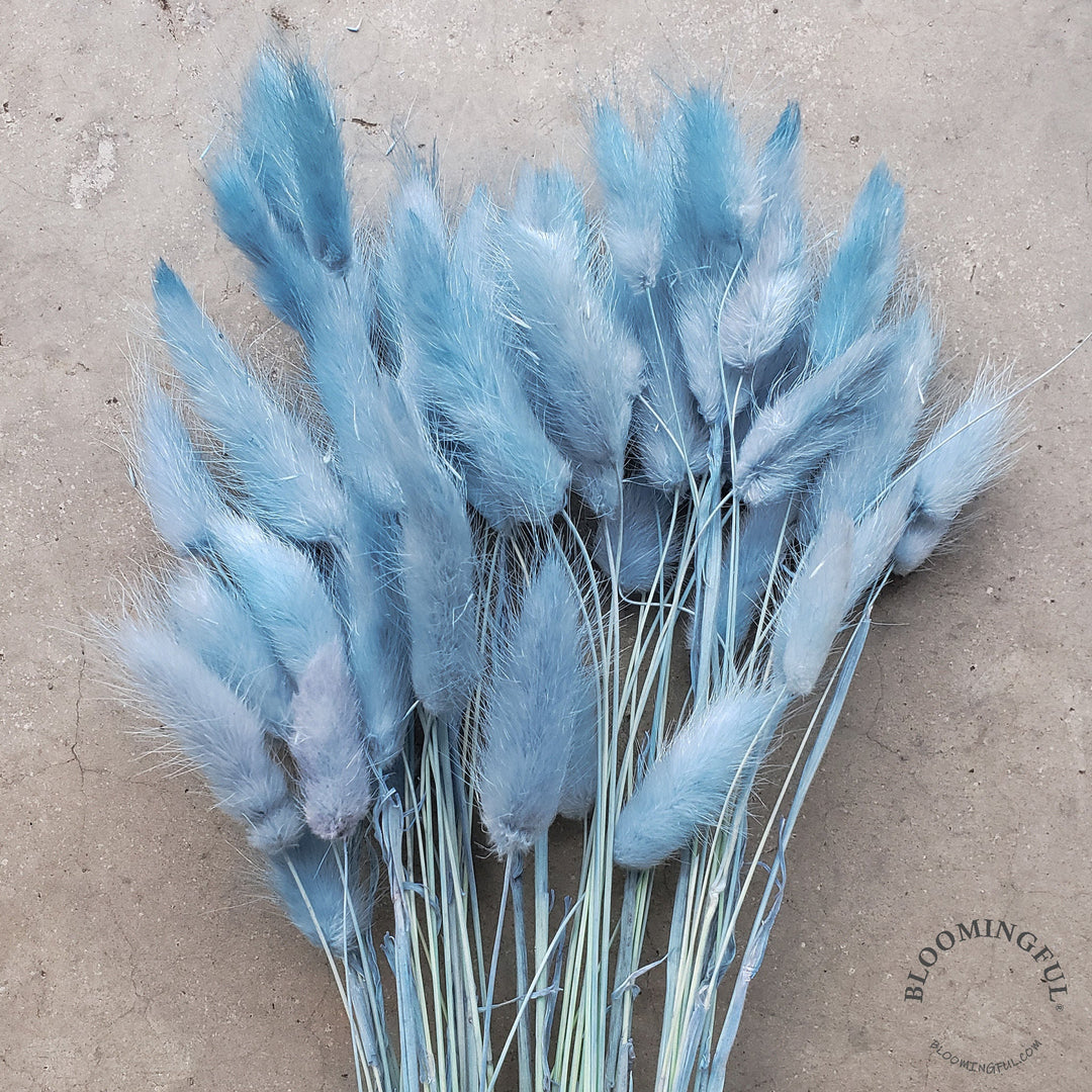 Dried Bunny Tails - Periwinkle Blue (012) - BLOOMINGFUL - wedding, event, decor, gift, bouquet, arrangement, bridal, garland, fresh dried preserved artificial silk, birthday housewarming foliage
