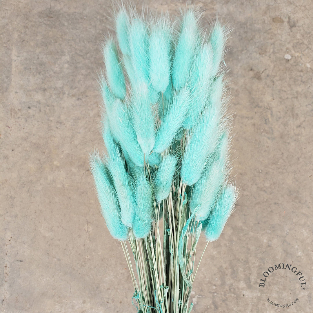 Dried Bunny Tails - Tiffany Blue (020) - BLOOMINGFUL - wedding, event, decor, gift, bouquet, arrangement, bridal, garland, fresh dried preserved artificial silk, birthday housewarming foliage