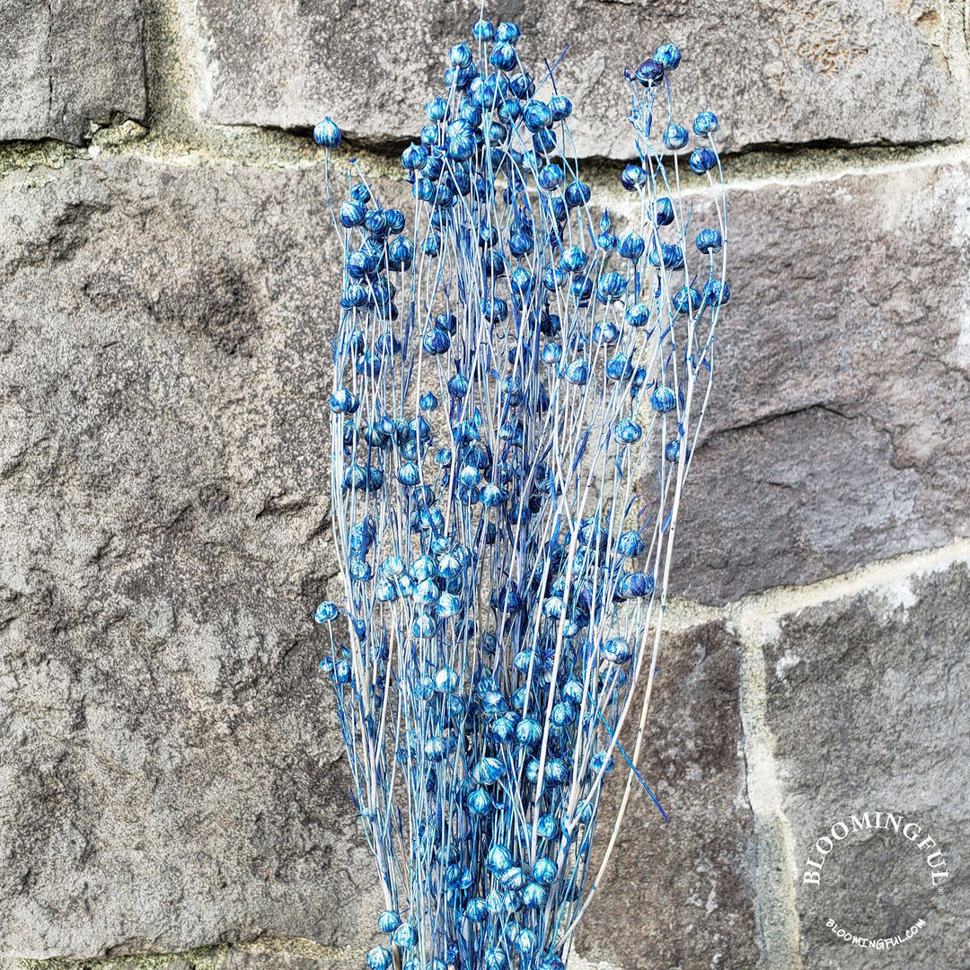 Dried Flax Linum Seed Flowers - Navy Blue (024) - BLOOMINGFUL - wedding, event, decor, gift, bouquet, arrangement, bridal, garland, fresh dried preserved artificial silk, birthday housewarming foliage